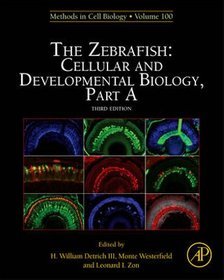 Zebrafish