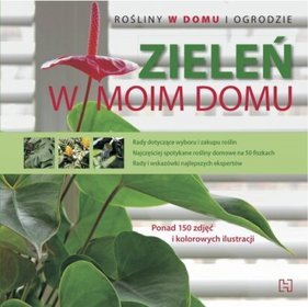 Zieleń w moim domu