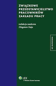 Związkowe przedstawicielstwo pracowników zakładu pracy