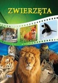 Zwierzęta
