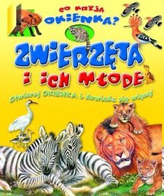 Zwierzęta i ich młode Co kryją okienka?