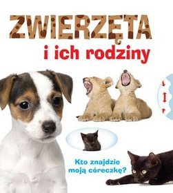 Zwierzęta i ich rodziny