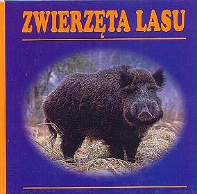 Zwierzęta lasu