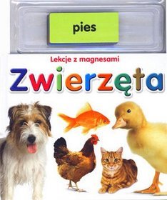 Zwierzęta. Lekcje z magnesami