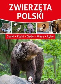 Zwierzęta Polski