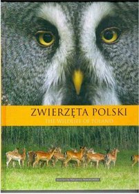 Zwierzęta Polski The wildlife of Poland