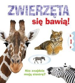 Zwierzęta się bawią