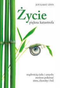 Życie  piękna katastrofa