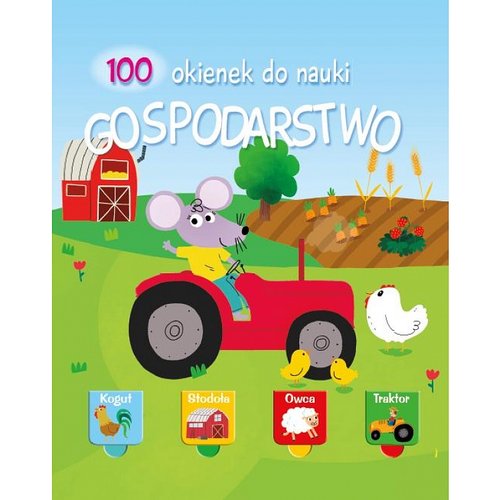 100 okienek do nauki Gospodarstwo