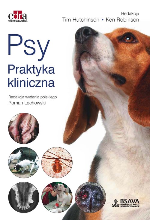 5 minut konsultacji weterynaryjnej Psy i koty