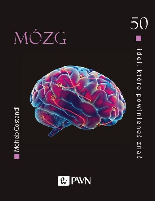 50 idei, które powinieneś znać Mózg