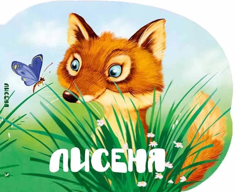 A Baby Fox w.ukraińska