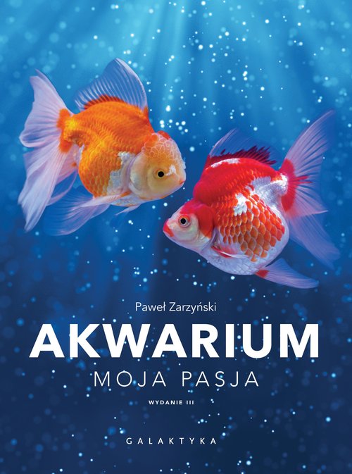 Akwarium