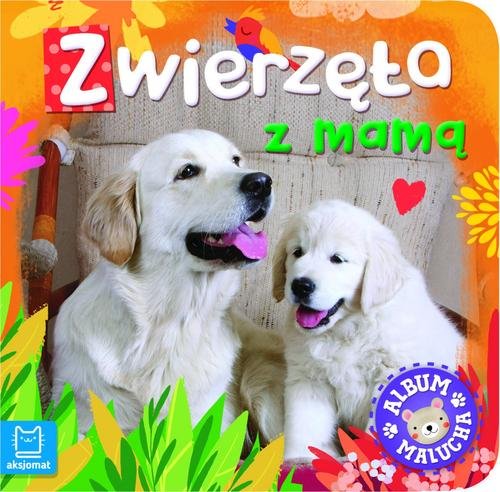 Album malucha. Zwierzęta z mamą