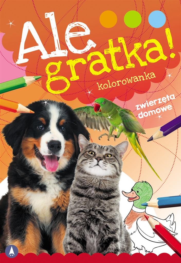 Ale gratka Zwierzęta domowe