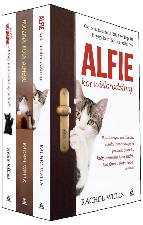 Alfie kot wielorodzinny / Rodzina kota Alfiego / Syn kota Salomona