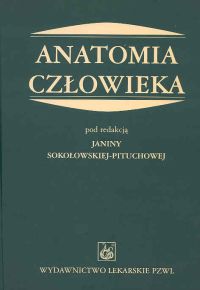 Anatomia człowieka