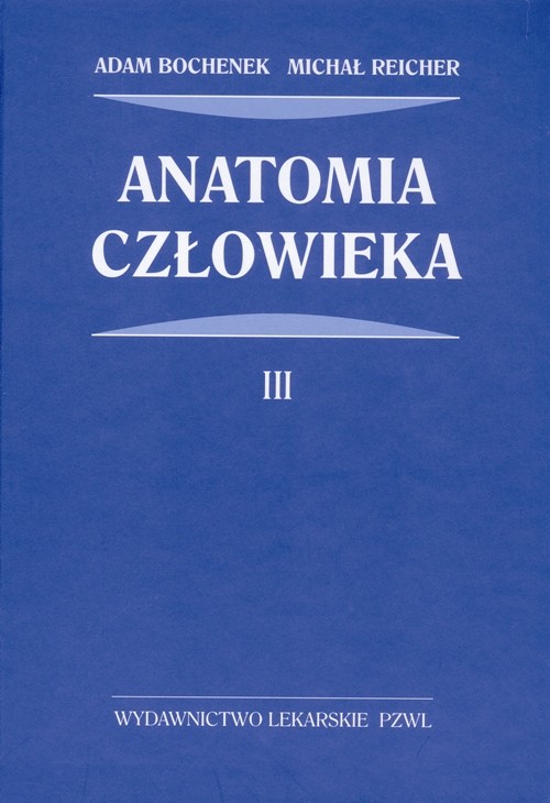 Anatomia człowieka