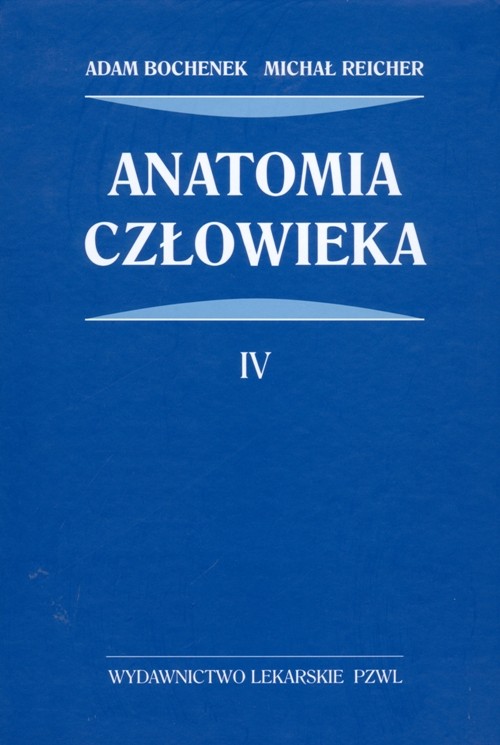 Anatomia człowieka