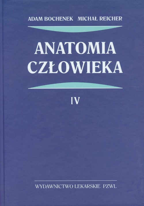 Anatomia człowieka Tom 4
