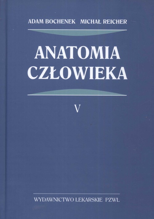 Anatomia człowieka - tom 5