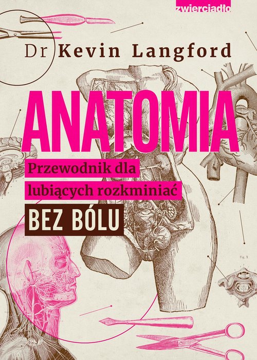 Anatomia Przewodnik dla lubiących rozkminiać bez bólu