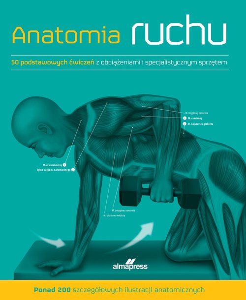 Anatomia ruchu