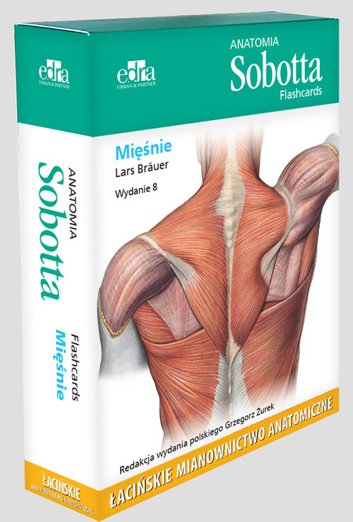 Anatomia Sobotta Flashcards Mięśnie