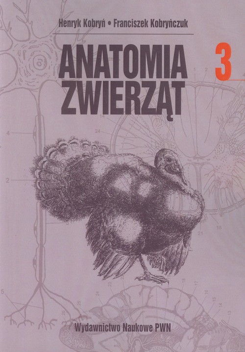 Anatomia zwierząt tom 3