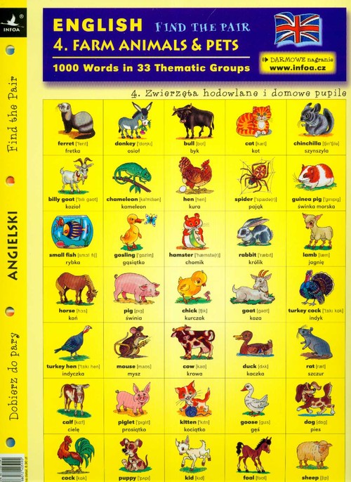 Angielski zwierzęta hodowlane i domowe pupile dobierz do pary 4
