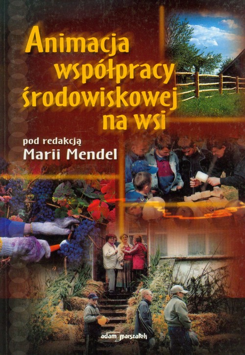 Animacja współpracy środowiskowej na wsi