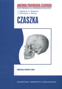 APC Czaszka