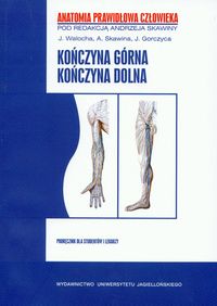 APC Kończyna górna Kończyna dolna