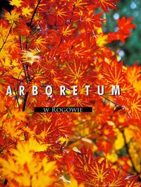 Arboretum w Rogowie