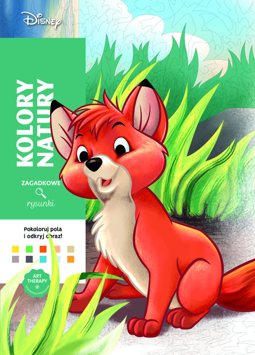 Art therapy Kolorowanka antystresowa Disney Zagadkowe rysunki