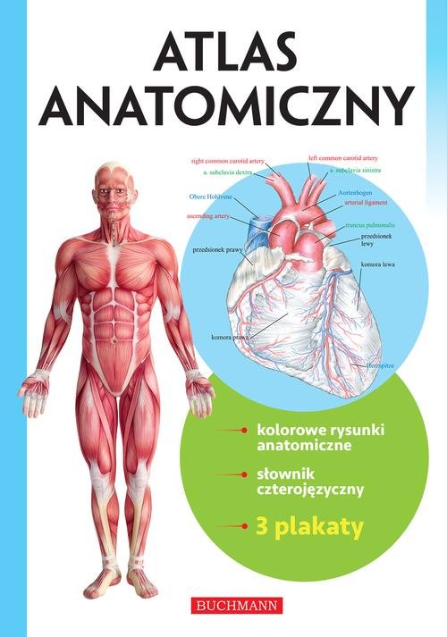 Atlas anatomiczny