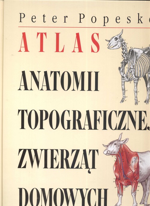 Atlas anatomii topograficznej zwierząt domowych