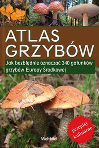 Atlas grzybów