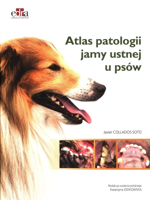 Atlas patologii jamy ustnej u psów