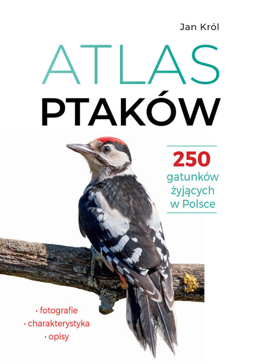 Atlas ptaków 250 gatunków żyjących w Polsce
