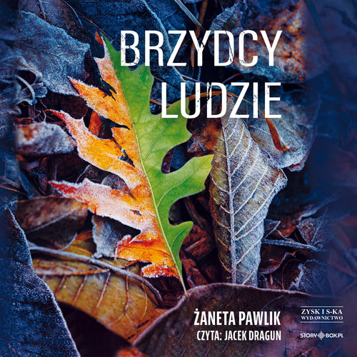 AUDIOBOOK Brzydcy ludzie
