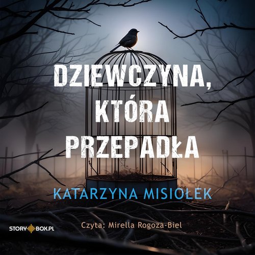 AUDIOBOOK Dziewczyna, która przepadła