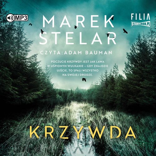 AUDIOBOOK Krzywda