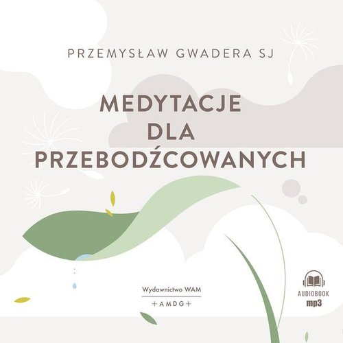 AUDIOBOOK Medytacje dla przebodźcowanych
