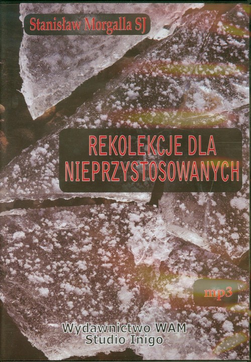 AUDIOBOOK Rekolekcje dla nieprzystosowanych