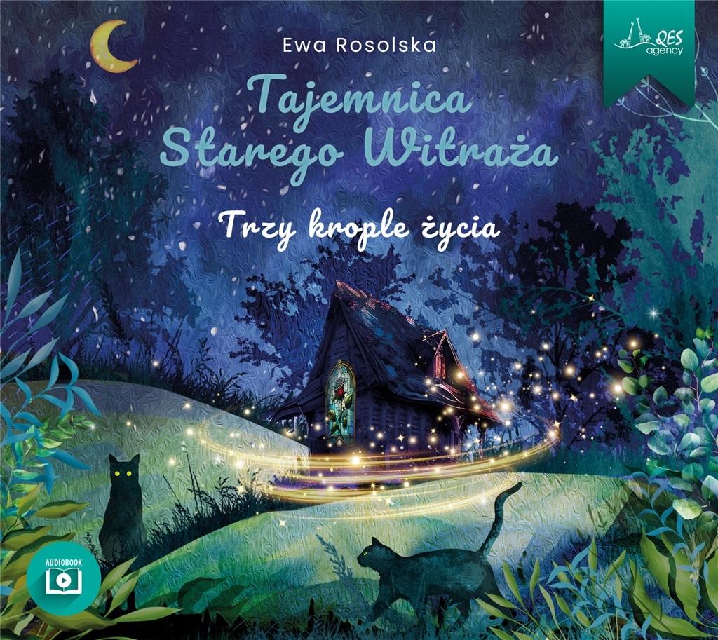 AUDIOBOOK Tajemnica Starego Witraża Tom 1 Trzy krople życia