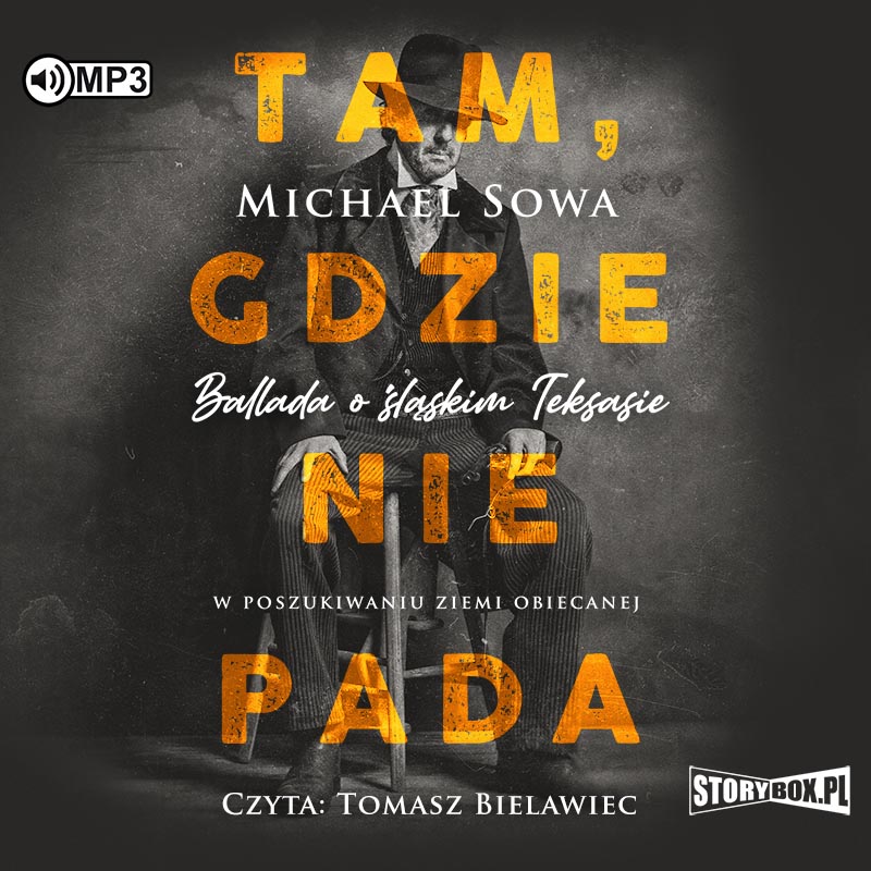 AUDIOBOOK Tam gdzie nie pada