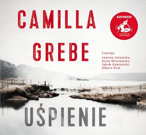 AUDIOBOOK Uśpienie