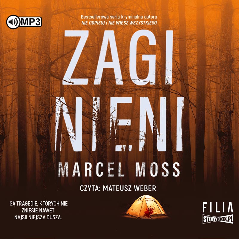 AUDIOBOOK Zaginieni