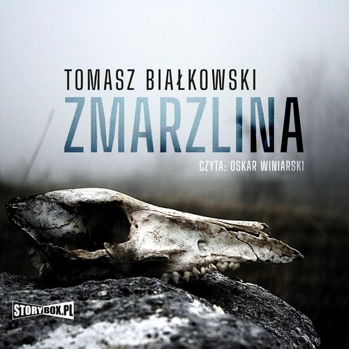 AUDIOBOOK Zmarzlina